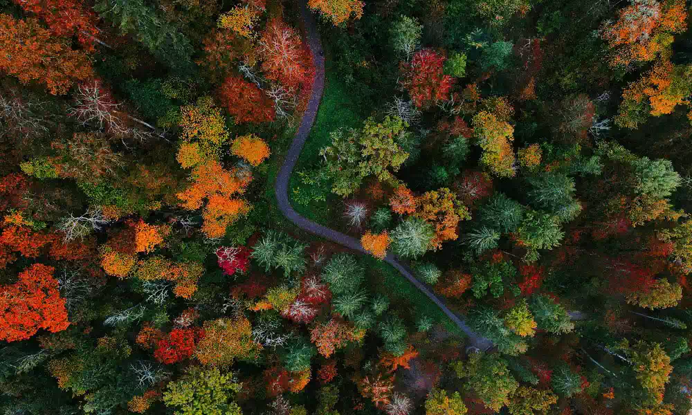 Routes de la Baltique