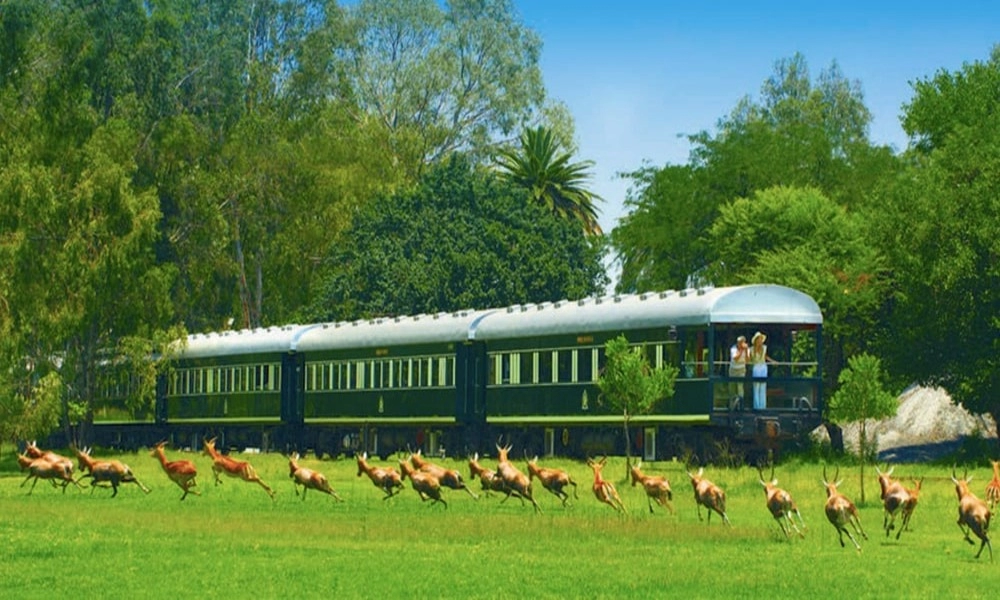 Diaporama Majest� d'Afrique Australe en version Grand Luxe