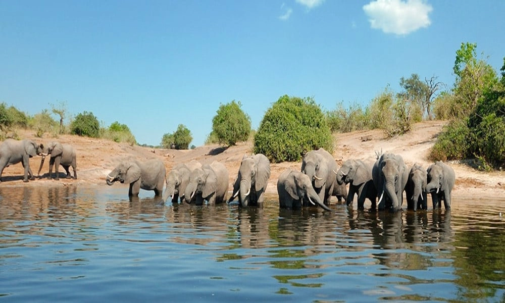 Diaporama Majest� d'Afrique Australe en version Grand Luxe