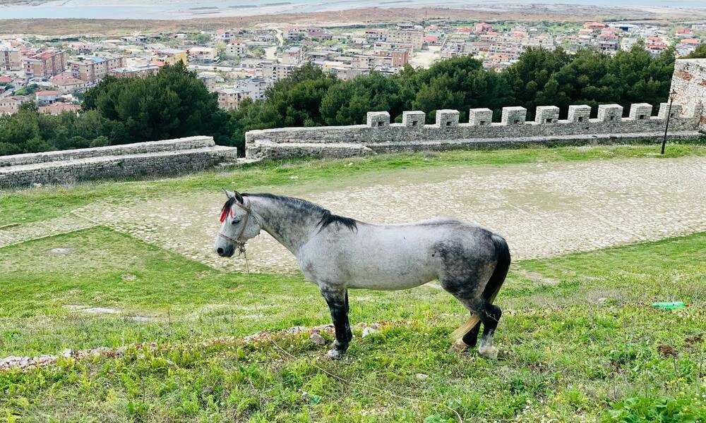 Diaporama Beaut�s sauvages d'Albanie