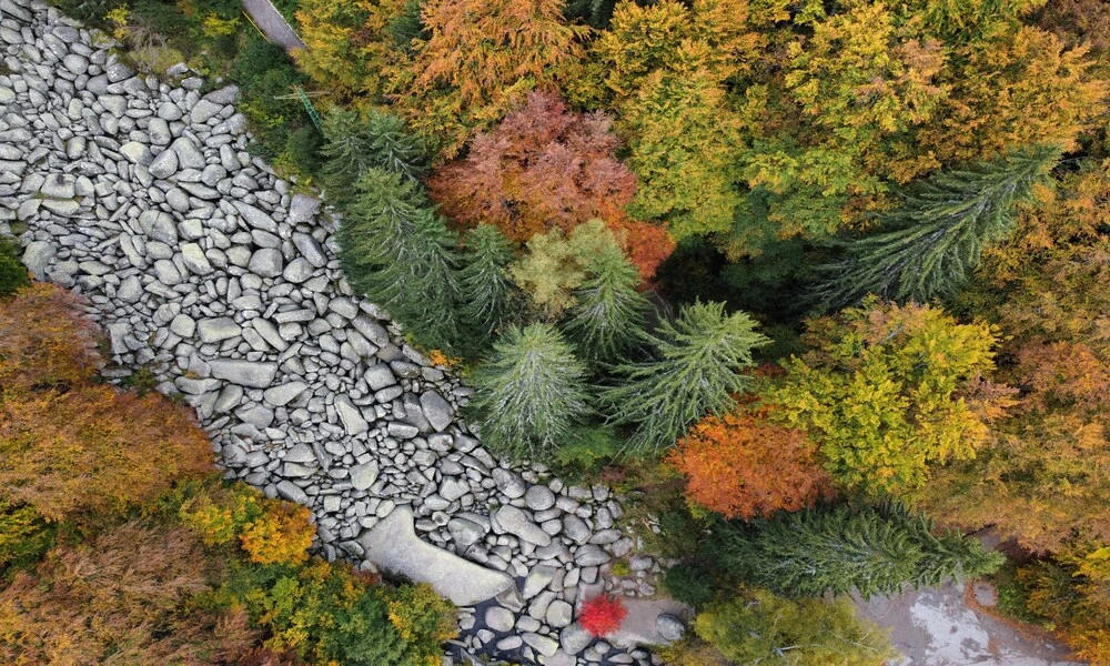 Diaporama Bulgarie en libert�