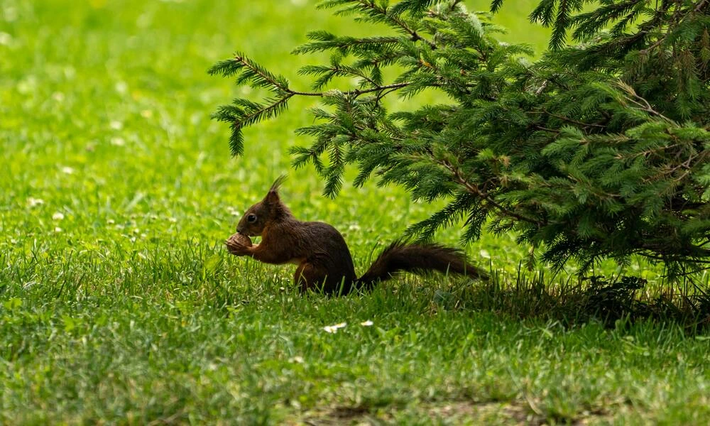 Diaporama Escapade � Sofia