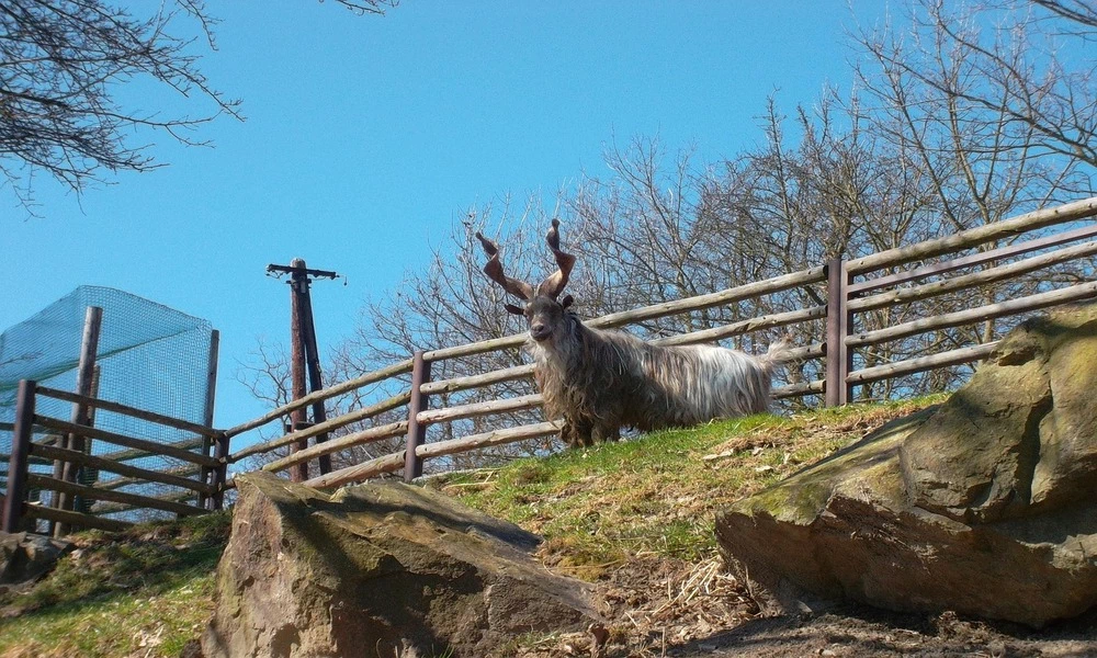 Diaporama Routes thermales en R�publique Tch�que