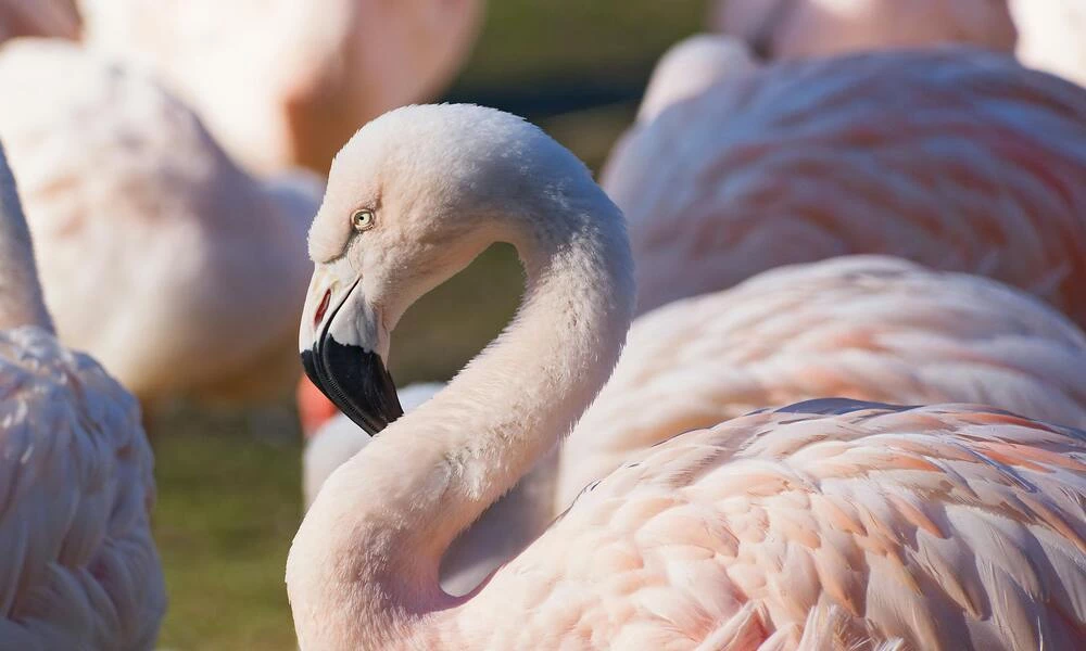 Diaporama Grand tour de l'Europe Centrale