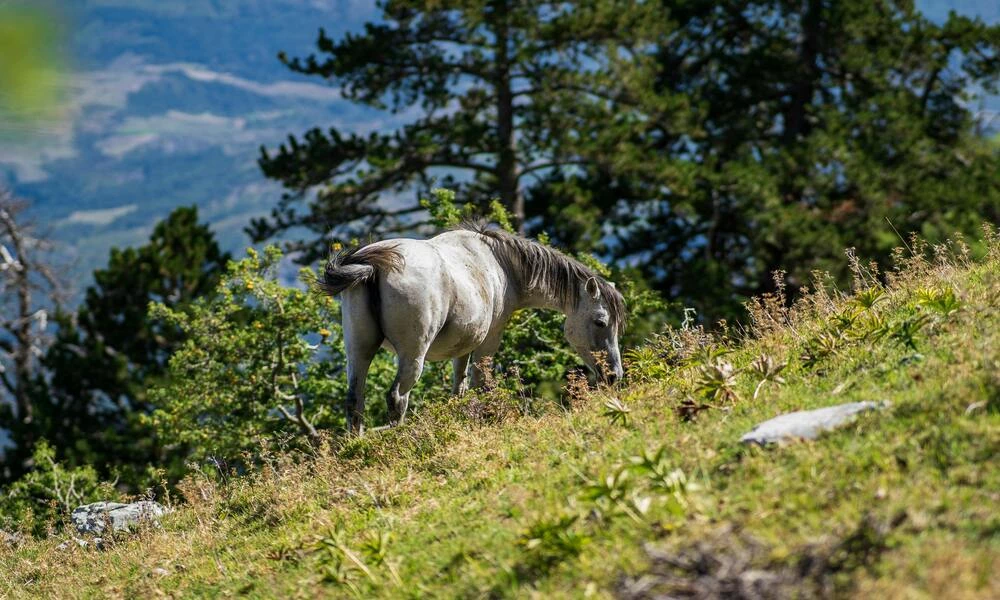 Diaporama Mont�n�gro et Albanie