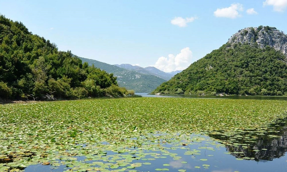 Diaporama Tr�sors sauvages du Mont�n�gro