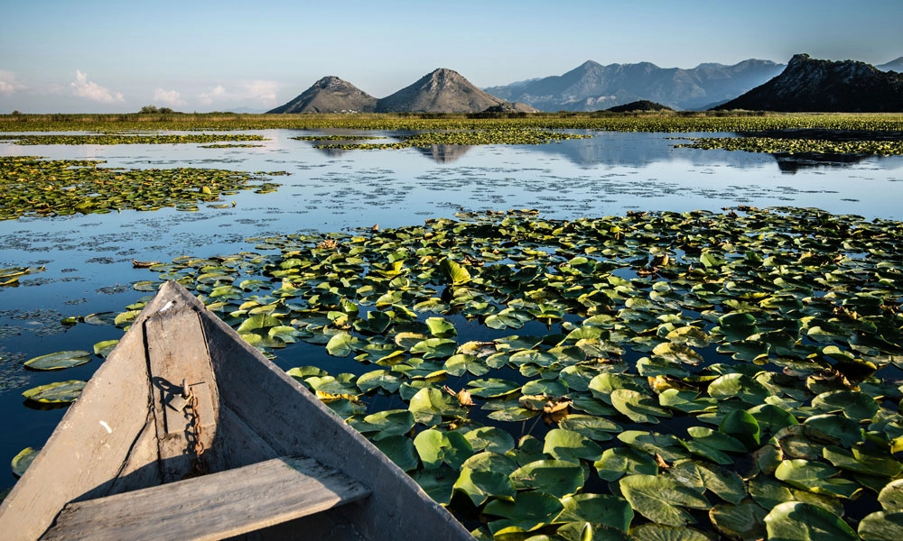 Diaporama Tr�sors sauvages du Mont�n�gro