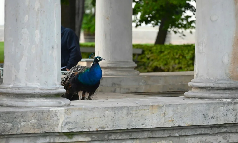 Diaporama Escapade � Varsovie