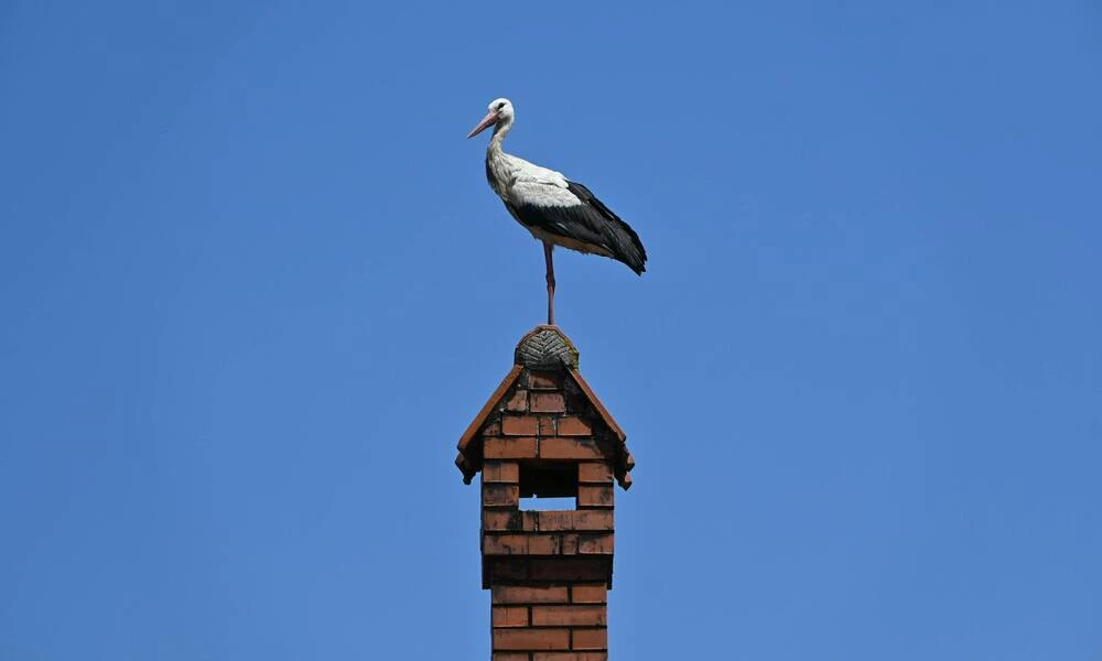 Diaporama Escapade � Belgrade