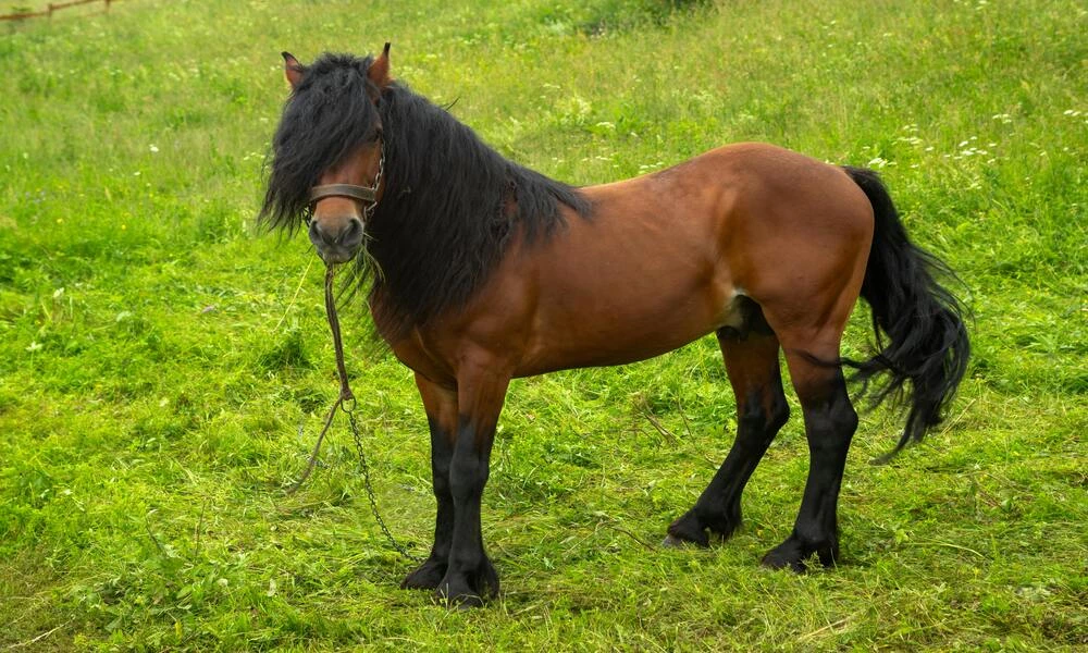 Diaporama Escapade � Belgrade