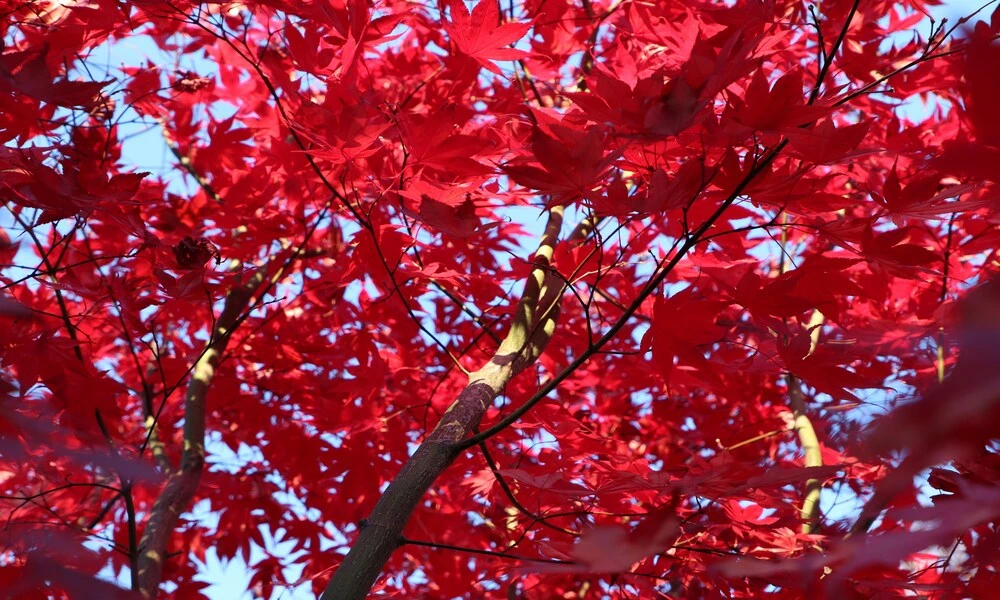 Diaporama Slovaquie, de Bratislava aux Tatras