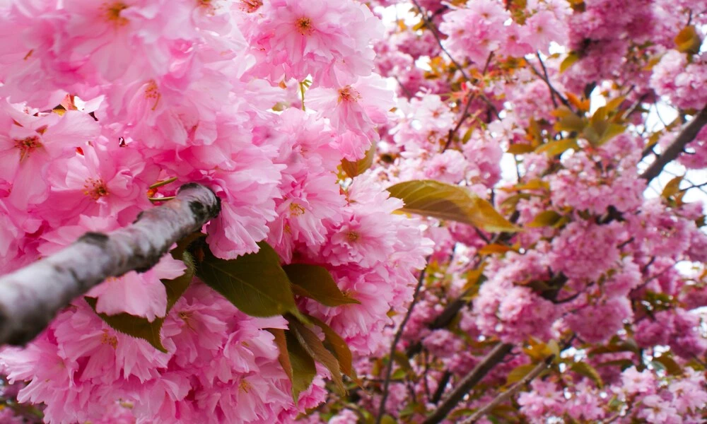 Diaporama Slovaquie, de Bratislava aux Tatras