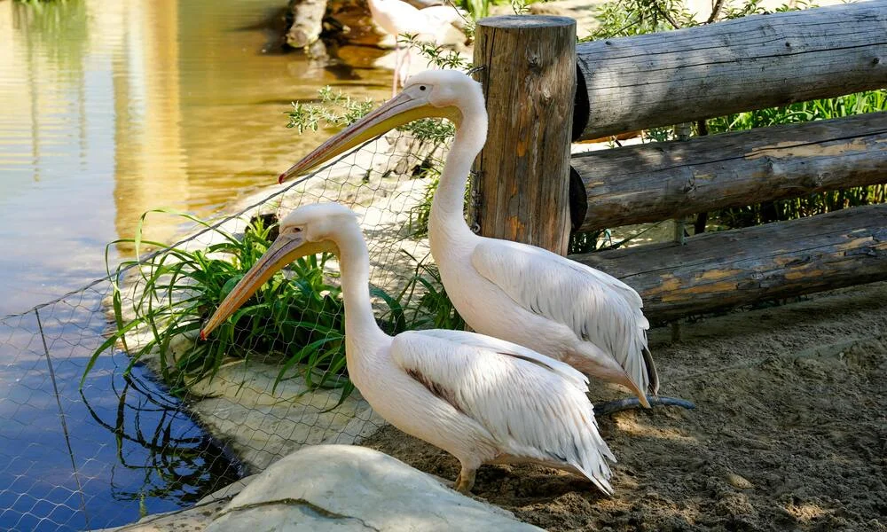 Diaporama Escapade � Bratislava