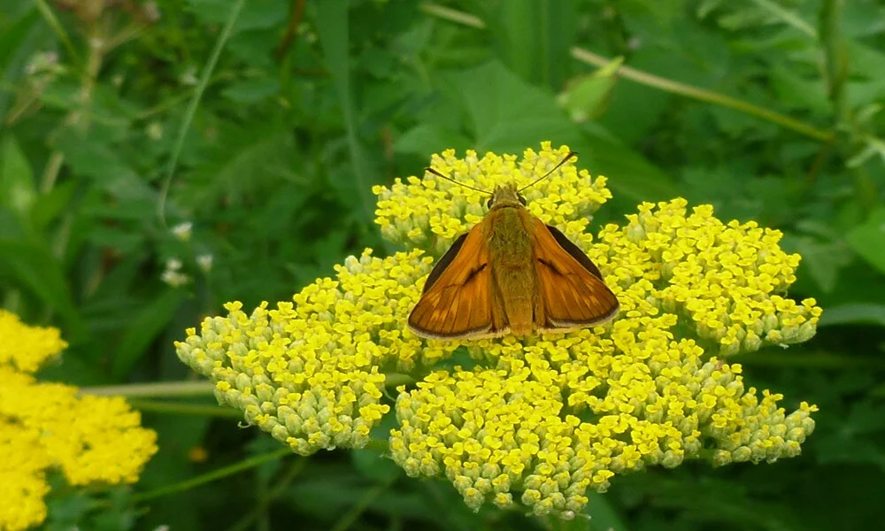 Diaporama Escapade � Bratislava