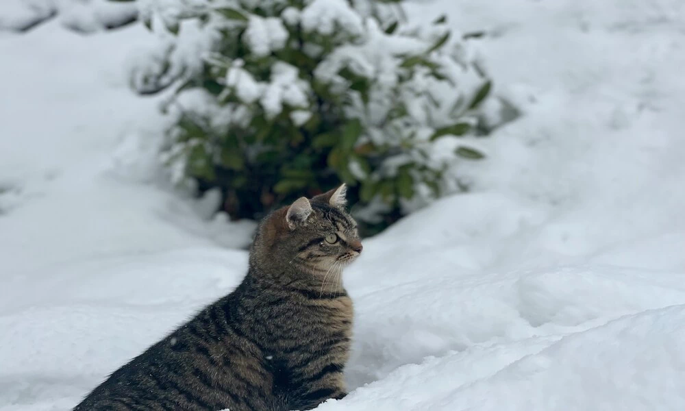 Diaporama Routes Balkaniques