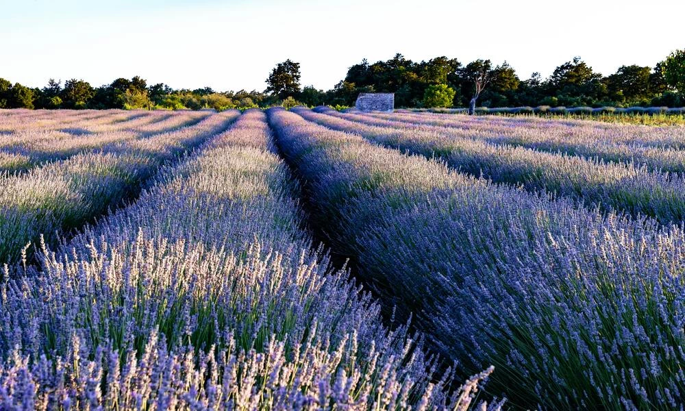 Diaporama Slov�nie et Istrie Croate