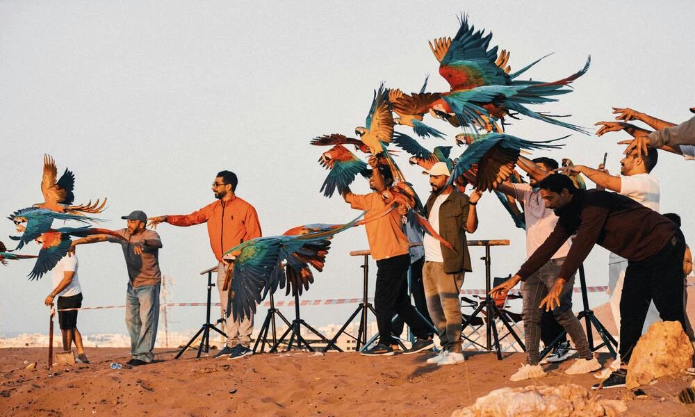 Diaporama 7 Merveilles d'Asie en Avion Priv� 2027