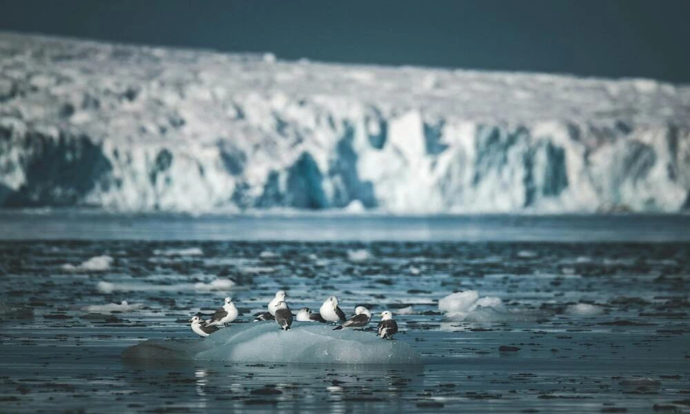 Diaporama L'Am�rique du Sud en Version Grand Luxe