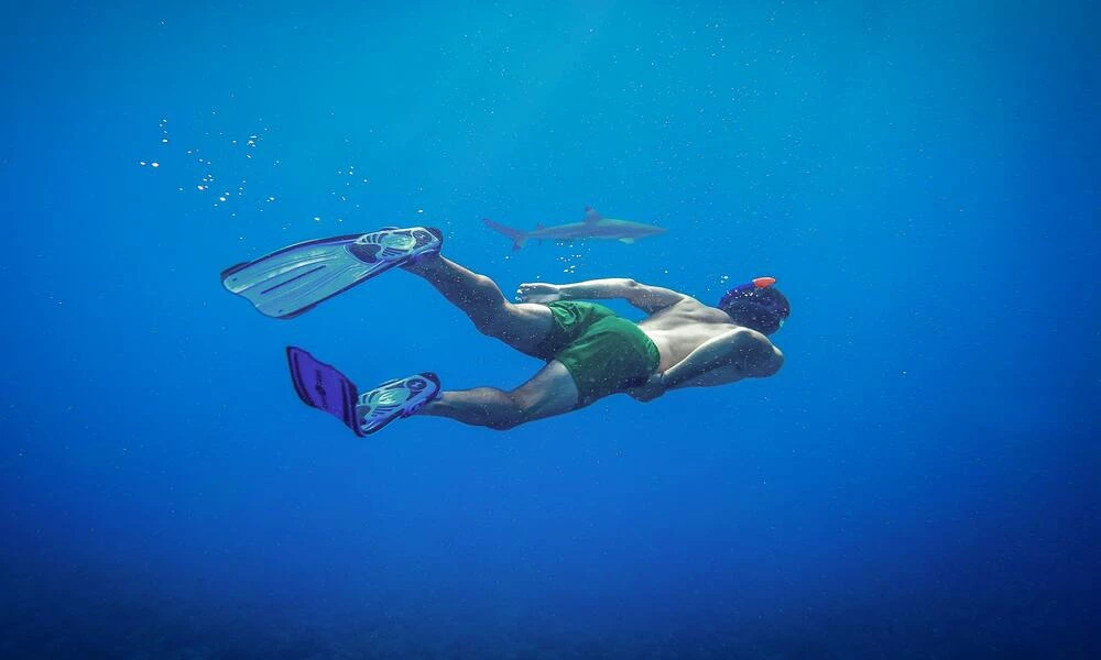 Diaporama Cap sur le Pacifique !